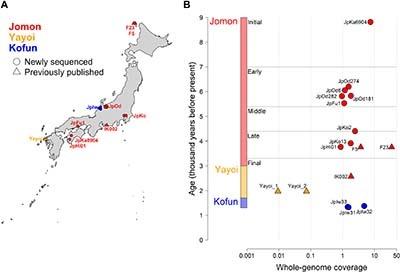 Ancient Japanese Genomics From Science Advances