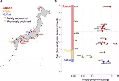 Ancient Japanese Genomics From Science Advances